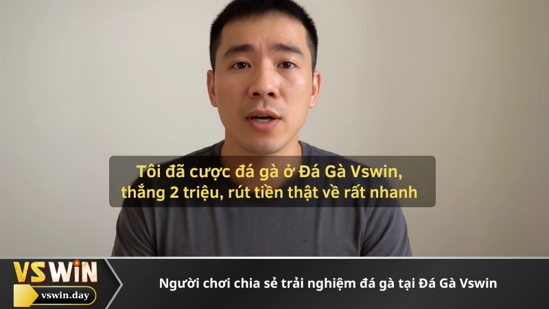 Người chơi chia sẻ trải nghiệm đá gà tại Đá Gà Vswin